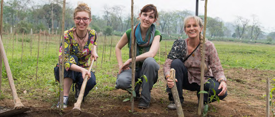 Arlette Rohmer, Sarah Albertini - formatrice à l’école de thé, Anne Florence - responsable des relations presse, plantant des théiers dans le jardin de Putharjhora, en Inde - Dooars.